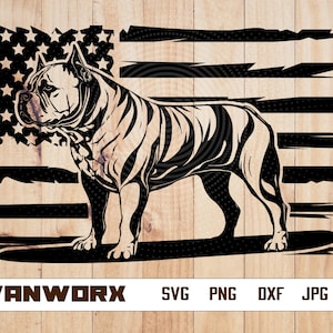 American Bully svg | US Dog Shirt svg | Bully Cutfile | Bully Clipart | Animal Lover svg | US Pet Store Monogram | US Dog Scene png
