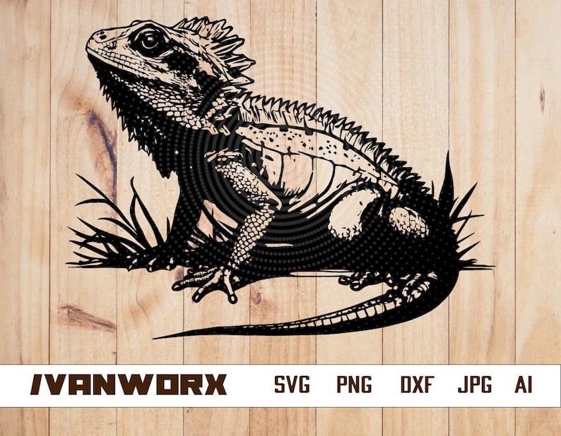Bearded Dragon Svg Small Reptile Clipart Lizard Cut File Wild Animal
