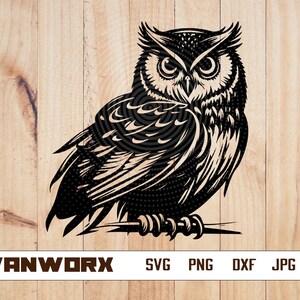 Chouette Svg | Clipart de hibou | Chouette Png | Tête de hibou dxf | Fichiers de coupe de hibou pour Cricut | Silhouette de hibou | Silhouette d&#39;oiseau | Pochoir Night Owl | chouette