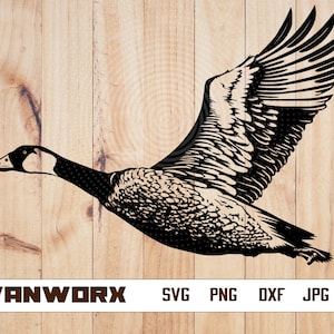 Canada goose quote vector online