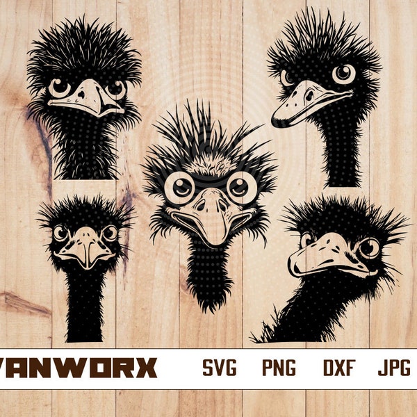 Ostrich Head Bundle svg | Farmlife Shirt png | Farm Animal Cut File | Zoo Crew Stencil | Zoo Keeper dxf | Farmer Gift Idea |Running Bird svg