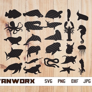 Ocean animals bundle svg | aquatic animals svg | aquatic fishes cut file | ocean svg | Marine life clipart | Vector Digital Dxf Png Eps Ai