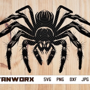 Spider SVG | Spider Tarantula SVG | Arachnid svg | Tarantula Svg | Tarantula T-shirt Design | Spider vector | Spider png | Spider Cut file