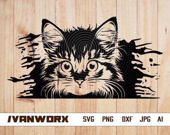 Cute Cat SVG / Curious Kitten Clipart / Cat Svg / Cat Clipart / Peeking face animal vector / Cute Cat Svg Cut Files per Cricut / Png Dxf Eps