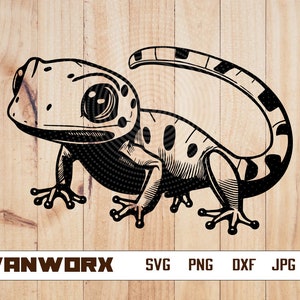 Reptile SVG | Gecko SVG | Lizard SVG | Komodo Lizard png | Gecko png | Cute Gecko clipart | Lizard cutfile | Bearded Dragon stencil | Eps Ai