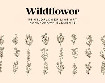 Wildflower Line Art SVG Bundle | 35 Hand-Drawn Floral Designs (Digital Download)