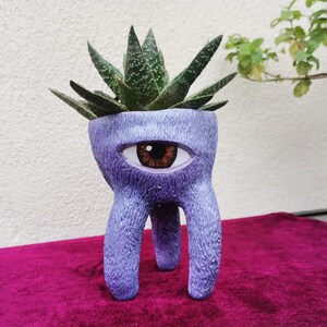 May include: Purple planter with three legs shaped like a monster with a single large eye. The planter is filled with a green succulent plant.