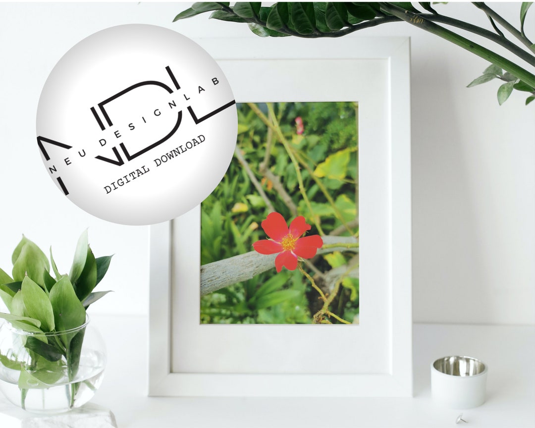 Red Flower Wall Art Decor, Instant Digital Printable, Artwork, Digital ...