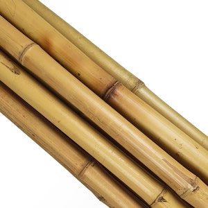 Tapered Natural Bamboo Poles (2m Long): Plant & Garden Support, Decoration - Pack of 10