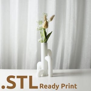 The Flow Vase STL 3D Print File, Home Decor Vase for Plants and Flowers, Digital Download for 3D Printing