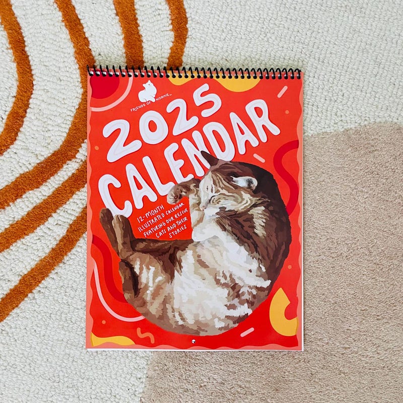 Cat 2025 Gift 60+ Gift Ideas for 2025