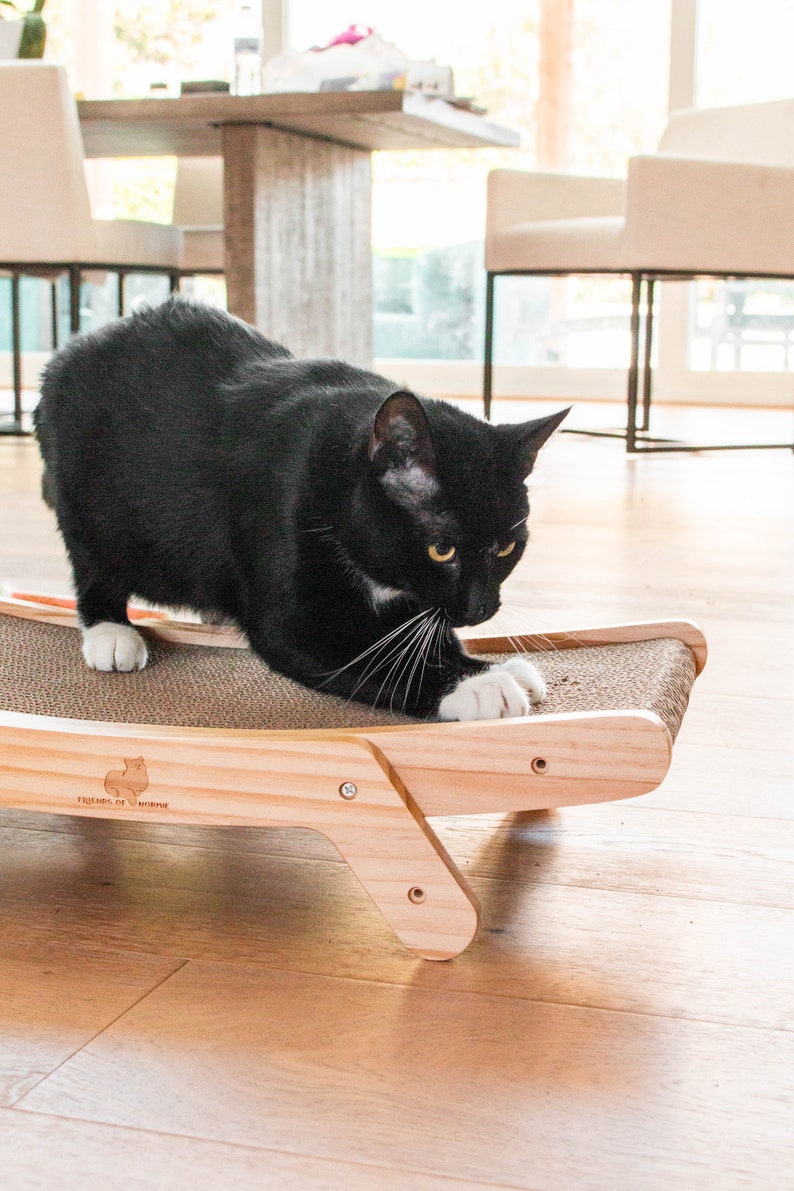 Wooden adjustable cat scratcher with sustainable and replaceable inserts image 10
