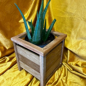 Oak Planter