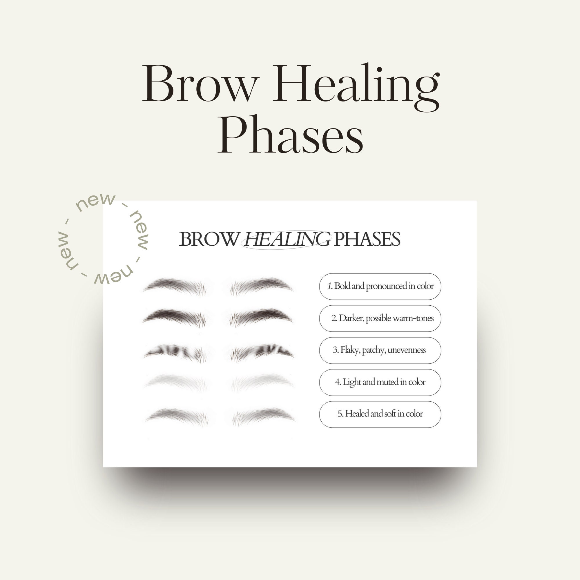Brow Healing Phases PMU Aftercare Card Etsy