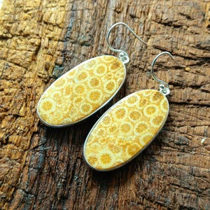 Fossil Coral Flower Earrings: Sterling Silver, Handmade Jewelry