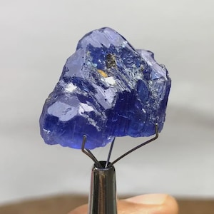 Raw Tanzanite Crystal: 49.50 ct AAA Grade, Unheated Gemstone