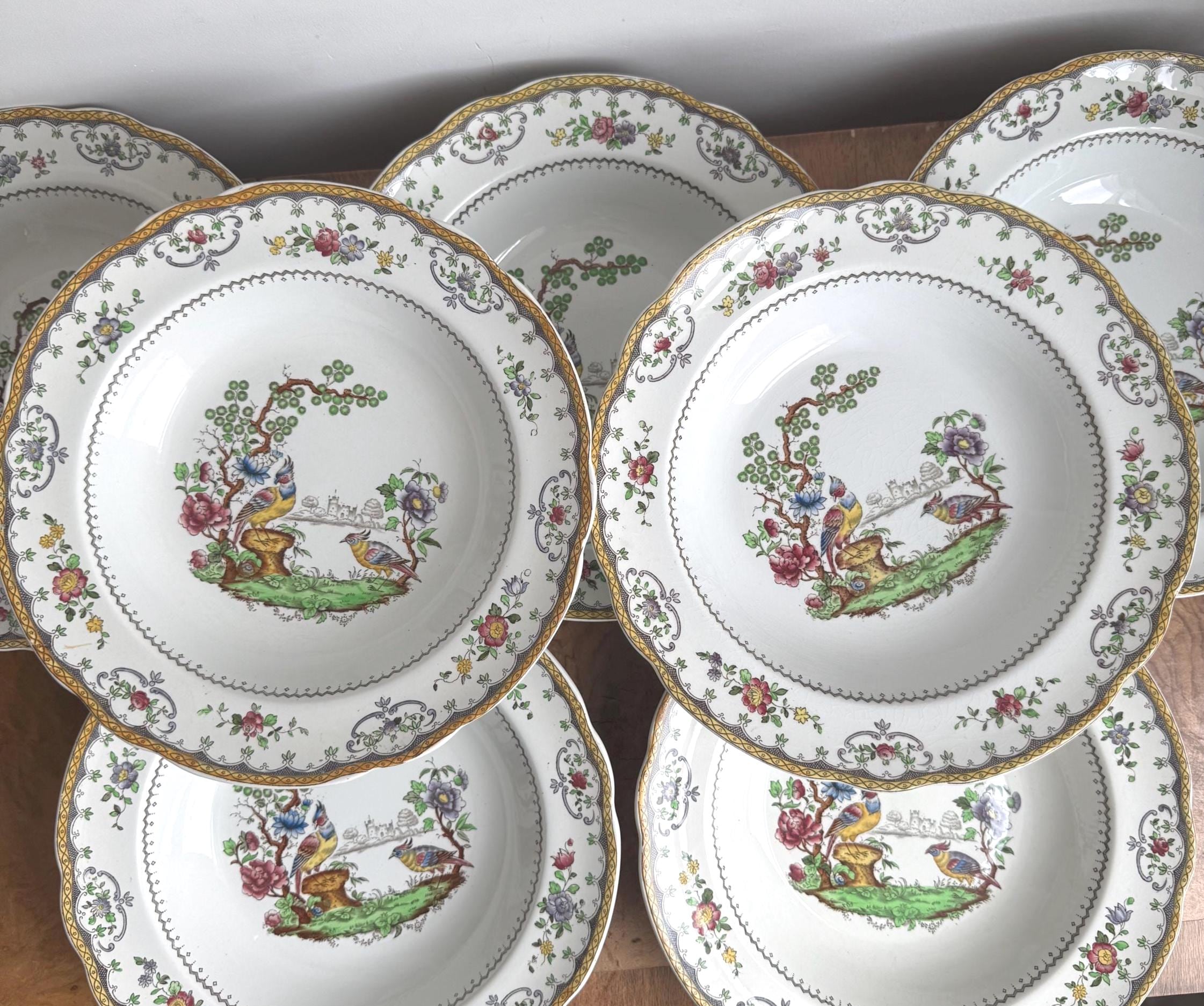 Spode Stafford Flowers Bone China - Etsy