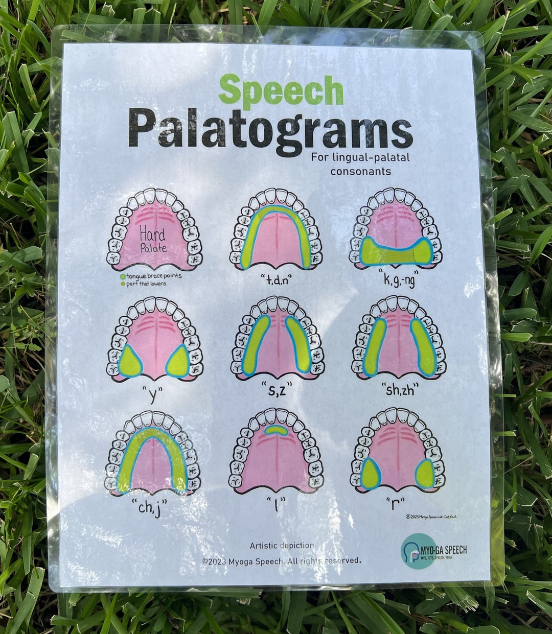 SOUNDS Palatogram 1 Page of Tonguepalatal Consonants CHART PDF Download Etsy