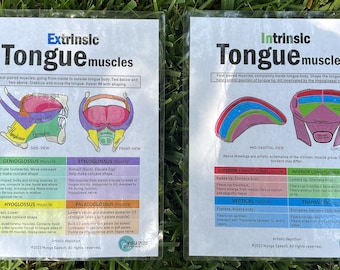 BOTH Extrinsic and Intrinsic Tongue muscles: drawings and charts (PDF download)