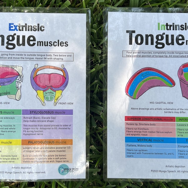 ENTRAMBI i muscoli estrinseci e intrinseci della lingua: disegni e grafici (download PDF)