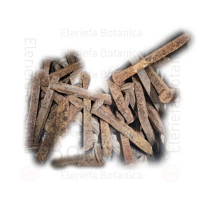 Ogun tools | Clavo de Linea | Iron Rail Road |  Oggun Herramientas / Santeria, Ifa, Yoruba, Palo Ogun Oricha