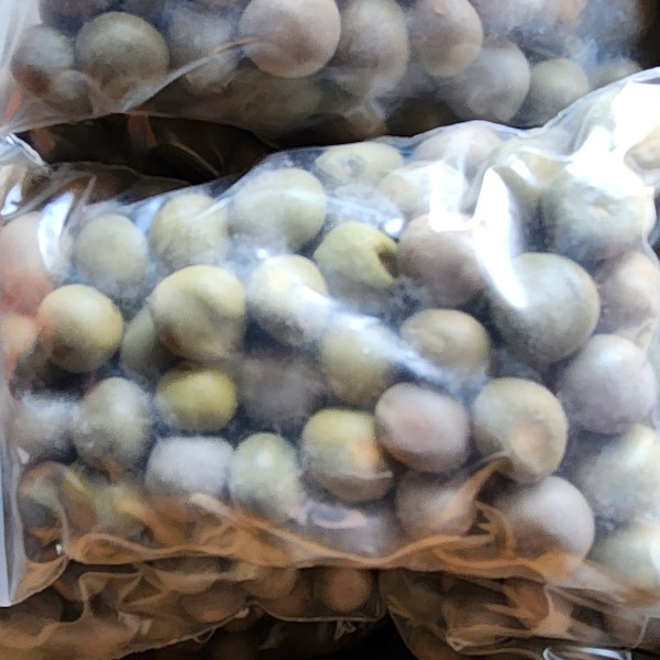 Quita Maldicion Seeds 6 Quita Maldicion Seeds Religion Yoruba Ifa Santeria