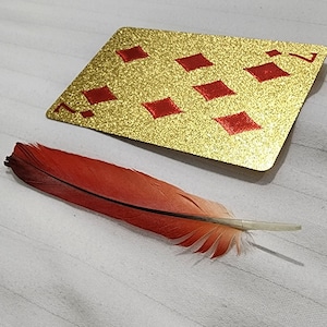 Pluma de loro / Pluma de loro gris africano Religión Ikode Yoruba, IFA, Santería, Plumas de cola de loro gris africano