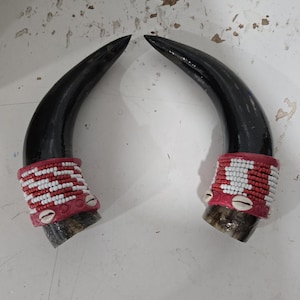Tarros de Ogue / Bull Horns / Shango herramientas | tools of Shango | orisha chango | Huge Ogue Horns / decorados con cuentas / decorated