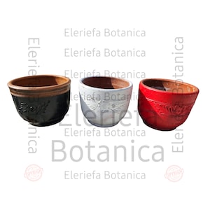 Casuela de barro para osain | causelas de barro para Ozain | casuela de elegua | ogun | obatala | Shango | Oshun | osain ikoko for igbodu