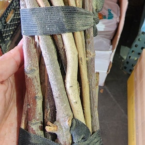 Carga de 21 Palos / 21 Sticks Bundle for Palo monte prenda / carga de palo / sticks / CARGA DE PALO (21 palo monte ) 10" sticks