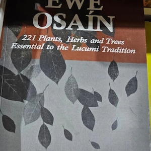 Ewe Osain Book/ Libro de Ewe/ IFA Santeria Book