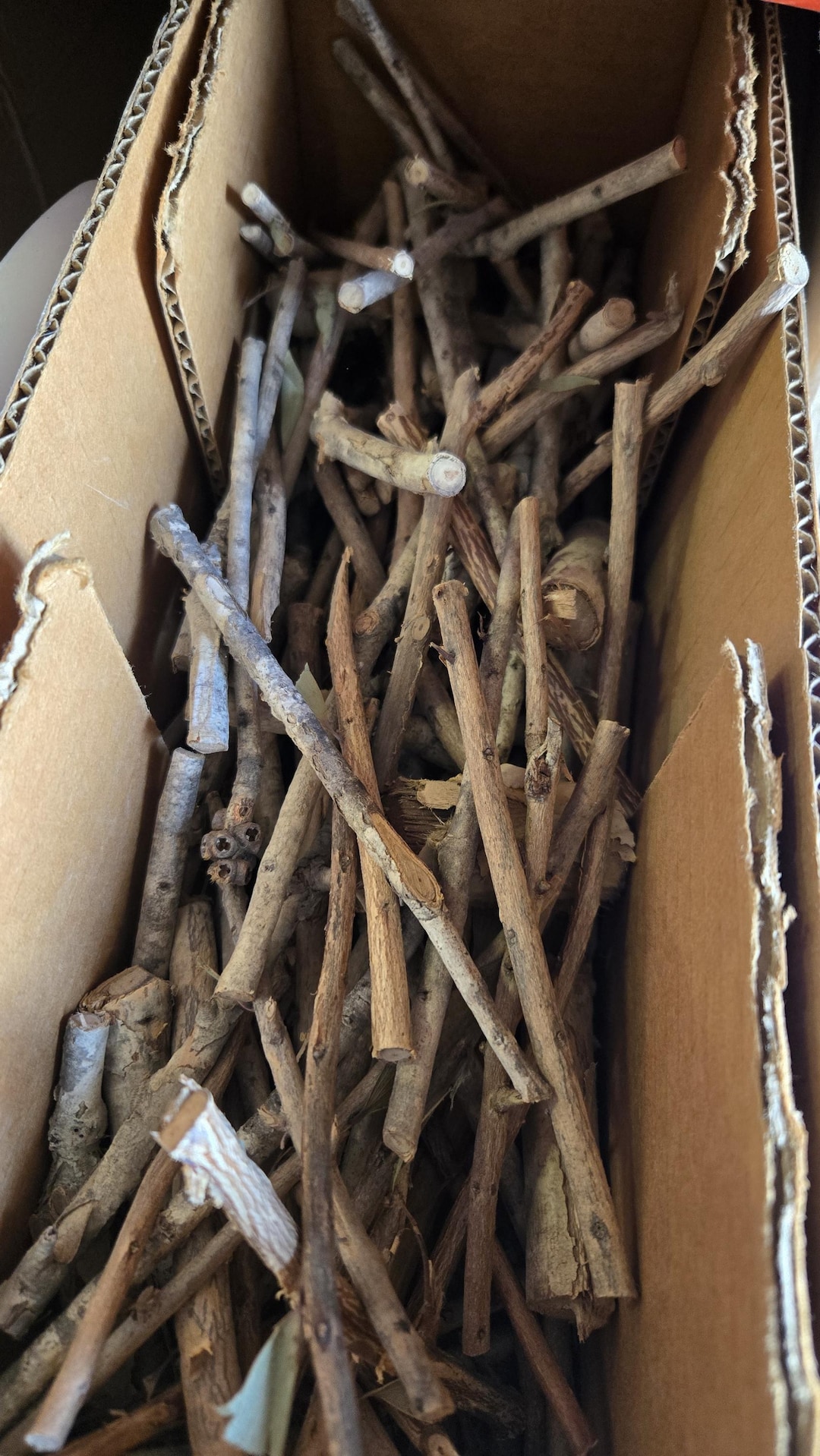 SABADO, 8 de OCTUBRE 2022PARQUE FERIAL DE BARINAS, image size:1080x1918