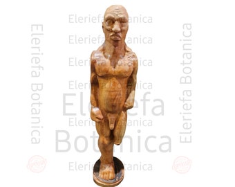 Osain / agboran / aboran de ozain / babalawo / ifa