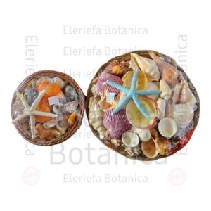 Carga para Olokun Santeria Osha Santo Ifa Olokun Tools Set / Herramientas De Olokun / Orisha Herramientas / Orisha Tools Olokun Seashells