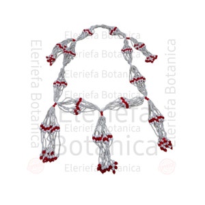 Collar de mazo para sopera de Obatala Ayaguna ,ocha griñan obamoro, alagema maso image 1