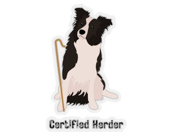 May include: A black and white border collie dog sitting with a brown stick. The dog is wearing a sticker that says "Certified Herder".