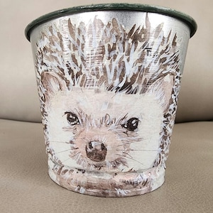May include: A silver metal planter featuring a hand-painted design of a hedgehog's face. The hedgehog has brown eyes, a pink nose, and a white and brown spiky back.