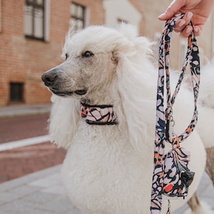 Trasselfritt halsband för pudel/vinthund/Skyddande silkeslen hundhalsband, hårbevarande hundhalsband, Skyddande silkeslen vadderat pudelhalsband