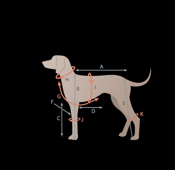 Niedliche Haustierbekleidung Mit Bärenmuster, ärmellos – Weich & Hautfreundlich Für Hunde/Katzen, Größe M (2-3,5 Kg)
