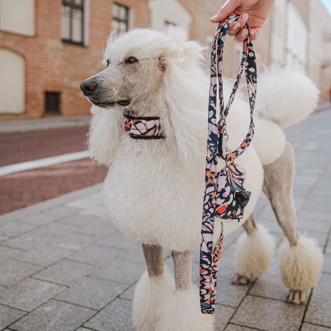 Colorful Dog Leash, Waterproof Fabric Dog Leash, Light Dog Leash, Easy ...