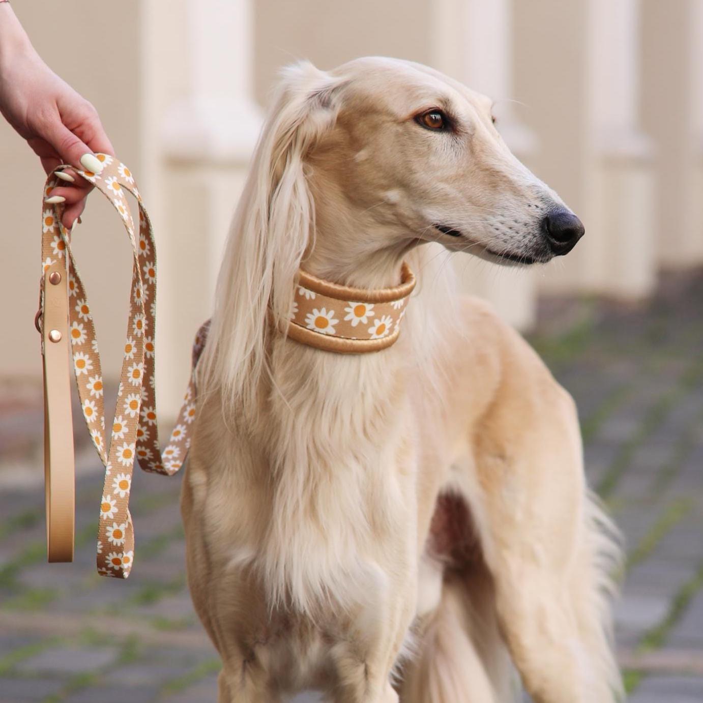 hay hundebett HAY Hundebett – Hundebett aus recyceltem Polyester