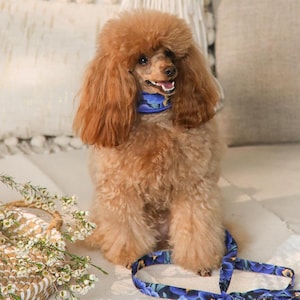 Silky Padded Hair-saver Collar for Full-coated Dogs