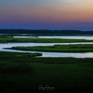 Landscape in Primehook Wildlife Refuge in Delaware.