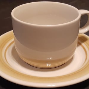 Genuine Stoneware Japan Cup & Saucer