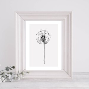 Dandelion Sketch Wall Print - Digital