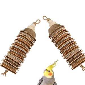 Parrot Palm Shredder Toys (Set of 2): Natural Bird Foraging Chew Toys