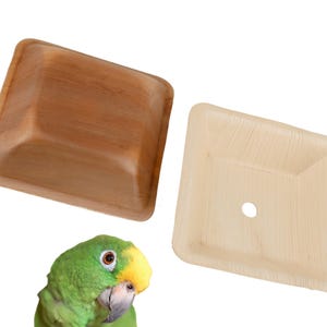 Palm Leaf Bird Toy Cups: Natural Foraging Shredders, Set of 50
