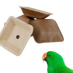 All Natural Palm Leaf Saucers: Bird Toy Parts, Foraging Bowls - Set of 50