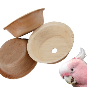 Natural Palm Leaf Bird Toy Cups: Shreddable Foraging Bowls - Set of 50