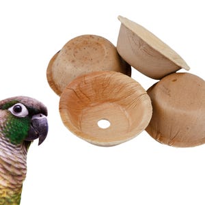 Natural Palm Leaf Bird Toy Cups: Chewable Foraging Shredders - Set of 50